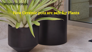 How Safe Ceramic Pots for Plants