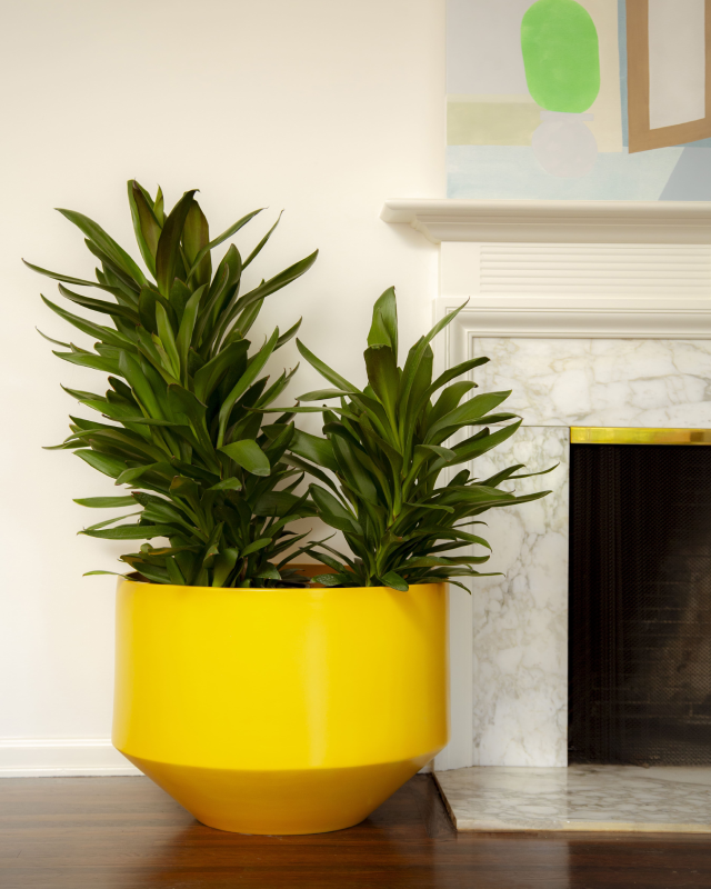 large mustard indoor plant pot Modern Ceramic Planter Pots for Indoor Outdoor